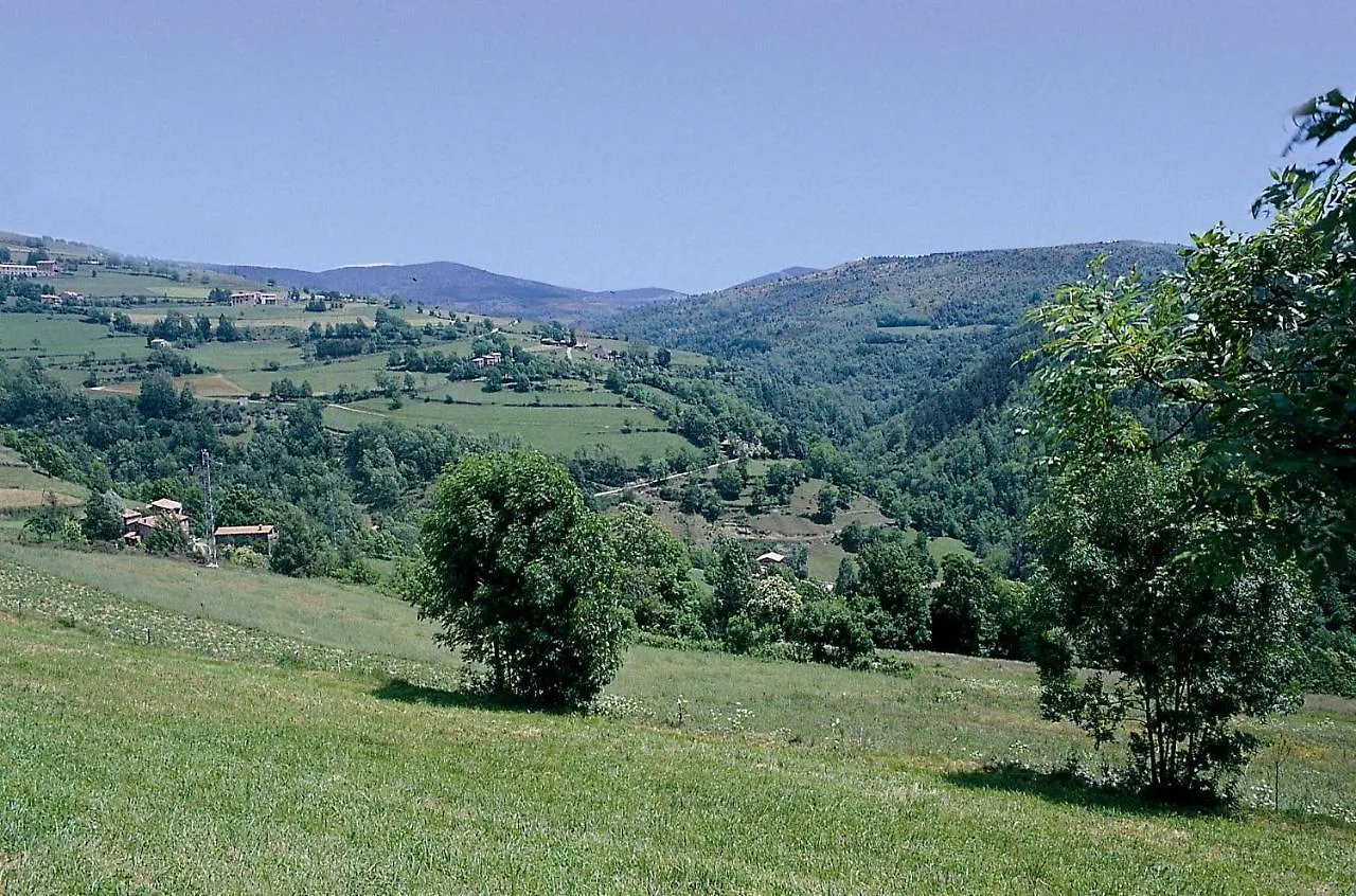 Apartamento Apartaments Calitxo Molló España